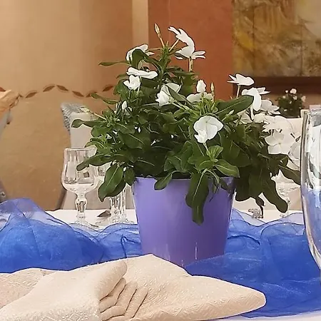 Euro Hotel 3*
